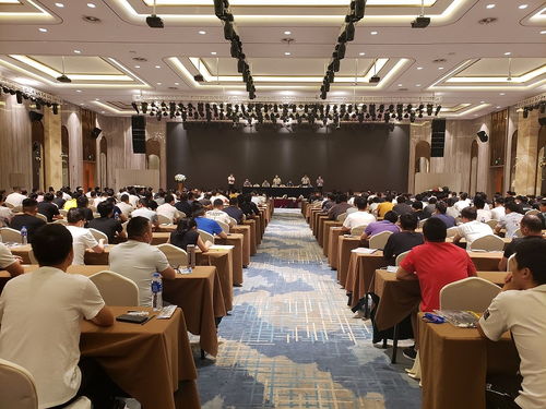 爆破网 浙江技术服务引领行业革新