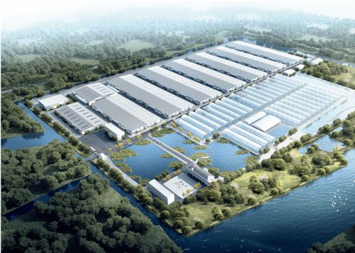 浙江千吨级南美白对虾工厂化养殖场 融合两大全球先进技术，引领产业新篇章